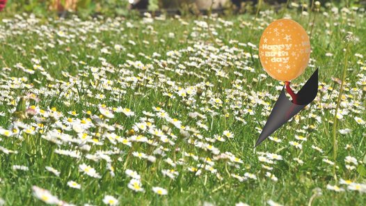 Eine Wiese mit Blumen mit einem Gruß zum Geburtstag